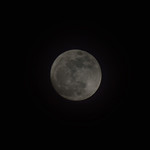 Day 126/366 : Misty Super Moon