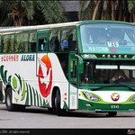 019-V3, MAN RR2 CO 19.400 / Cherng Dar (程達車體)