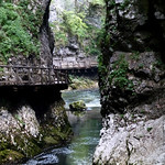 VINTGAR GORGE