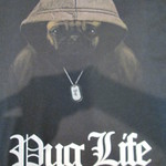 Pug Life - T-Shirt Print - Flawless Clothing Brighton