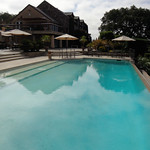 Signorello Estate Winery, Napa Valley, California, USA