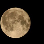 From my window I can see ...