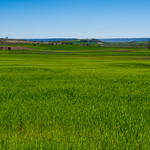 Anchos campos, larga vida