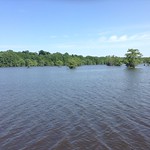 Chicot State Park, near Ville Platte, LA