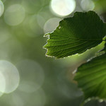 When The Sun Finally Came Out