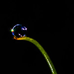 a glass bead game in progress