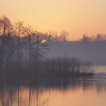 Matin brumeux ****-+O