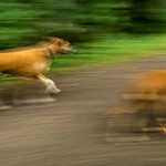 Side by Side (and me somewhere behind ;-)...)