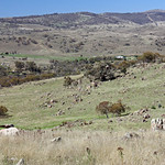 Monaro back country