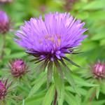 Great opportunities to help others seldom come, but small ones surround us every day.