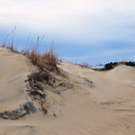 Evening dunes
