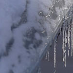 Icicles