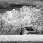 "Shadows of Preservation"