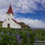 Church of the Lupine