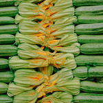 Did somebody say Zucchini ..