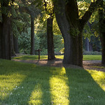 Summer's Almost Here