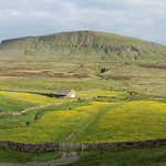 Penyghent