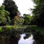 Gooderstone Water Gardens