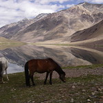 Chandratal, Himalayas