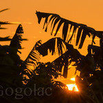 sunset @ Villa Tapia en los Platanales