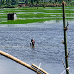Rainy Season and Life