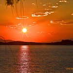 Our Big Bright Star _DSC 1142