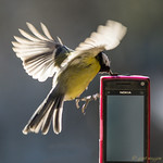 the kiss for a phone