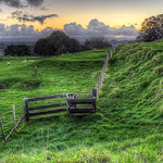 One Tree Hill (Maungakiekie), Auckland, New Zealand