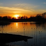 Wetland Sunset