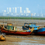 Resting boats