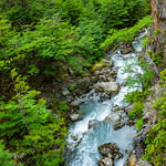 Torres del Paine S90-111202-015