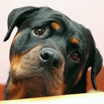 Going a bit cross-eyed