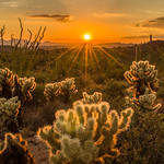 Desert Illuminations