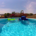 the pool with a view