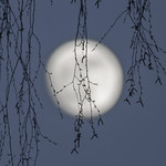 Man on the moon got a wand now?