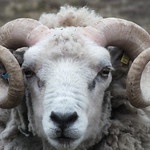 2016 05 27 1930 49 T 0 0