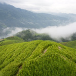 DSC_4249 Longsheng Rice Terrace, Guangxi, China: Ping-an Village