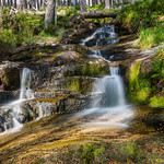 Falls on the Allt Fhearnagan, Glen Feshie