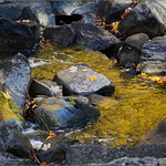 Golden Pool Below Rockway Falls