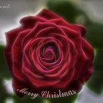 Merry Christmas for al of you