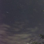 Perseid