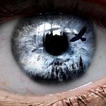 Odin's ravens, are always watching you!