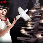 MERRY XMAS to all my Flickr Followers !!......... And So Many Thanks !!!!