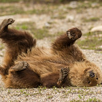 It's Not Always Fun & Games