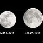 comparison of moon sizes - 月の大きさを比較してみた