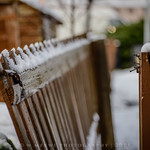 Happy Broken Fence Friday!