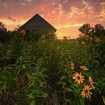 "Among The Wildflowers" by Aaron J. Groen @HomeGroenPhotography The best sunset I seen all year. Taken from the old abandoned building north of Sioux Falls where the interstate stops. 9/1/2015 &ndash; 8:01:08 PM Canon EOS 6D and EF 16-35mmF/2.8L II usm len