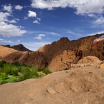 DSC2989 I'm loving it!