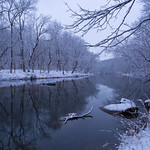 Wintry View Reflected