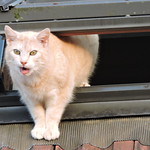 Come in, I'm hungry!